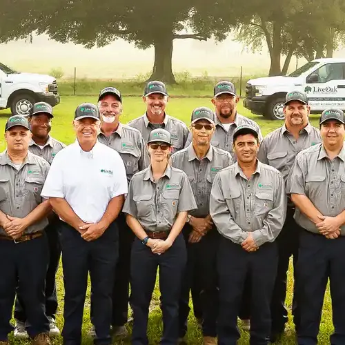 Live oak pest control pest technician team - Keep pests away from your home with Live Oak Pest Control in McAlpin FL